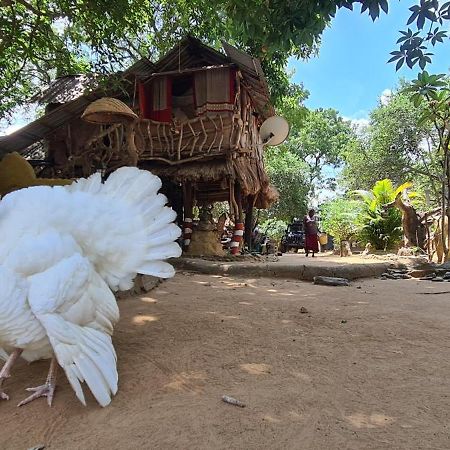 Humbhaha Jungle Yala Nature Eco Resort Kataragama Εξωτερικό φωτογραφία