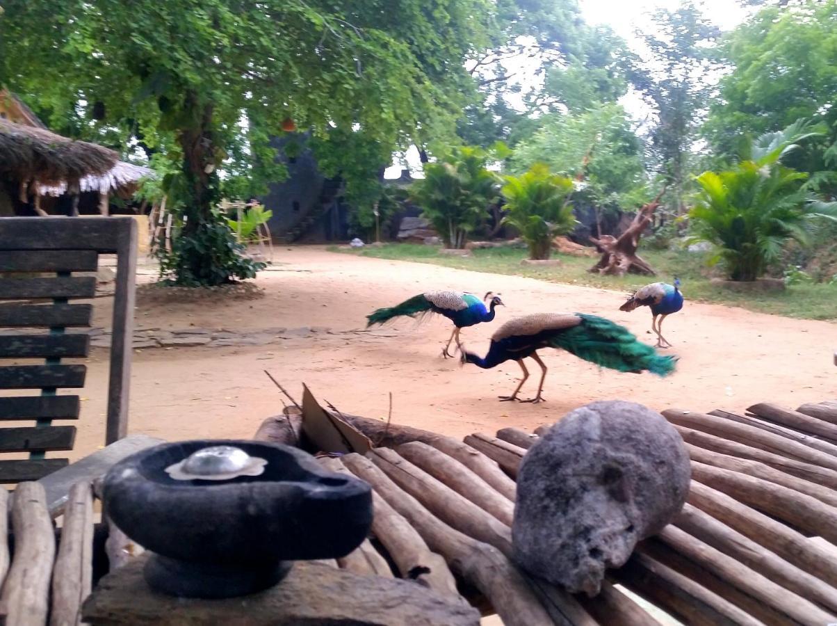 Humbhaha Jungle Yala Nature Eco Resort Kataragama Εξωτερικό φωτογραφία