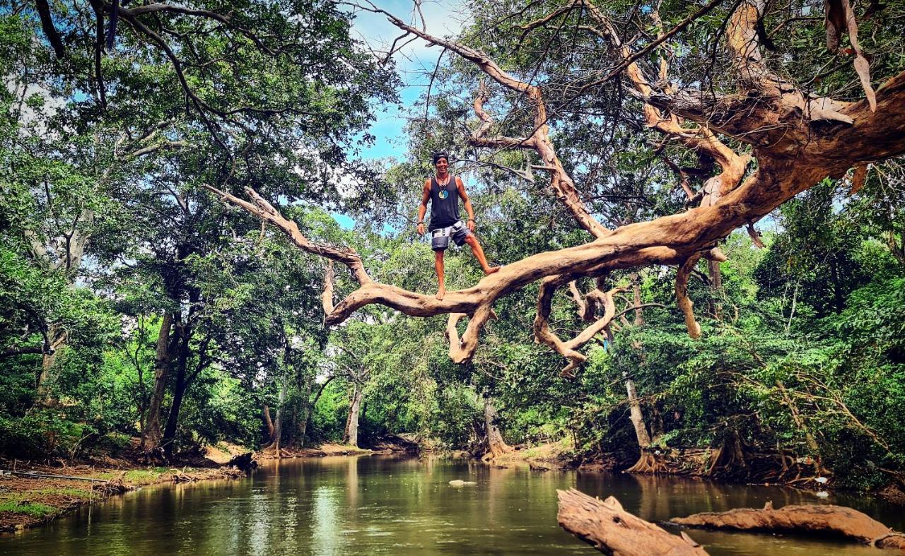 Humbhaha Jungle Yala Nature Eco Resort Kataragama Εξωτερικό φωτογραφία