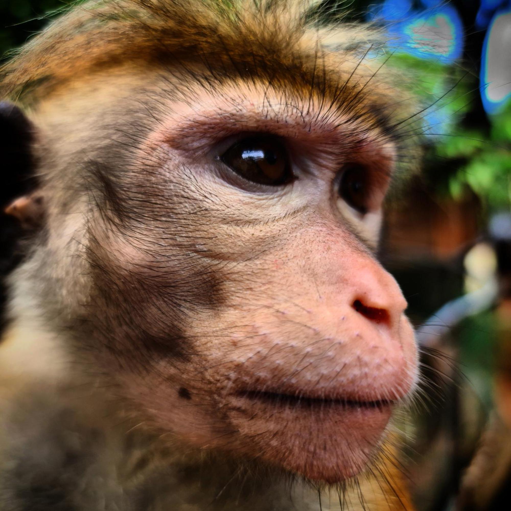 Humbhaha Jungle Yala Nature Eco Resort Kataragama Εξωτερικό φωτογραφία