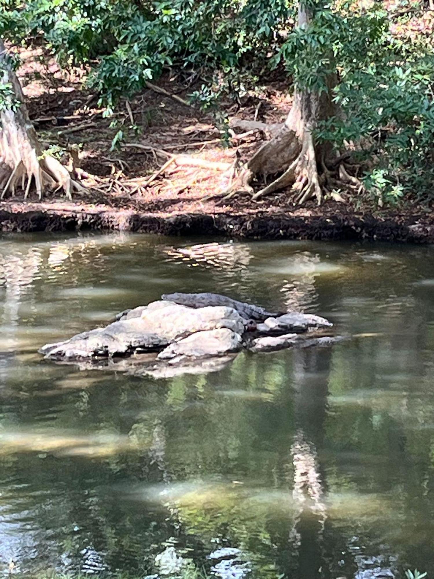 Humbhaha Jungle Yala Nature Eco Resort Kataragama Εξωτερικό φωτογραφία