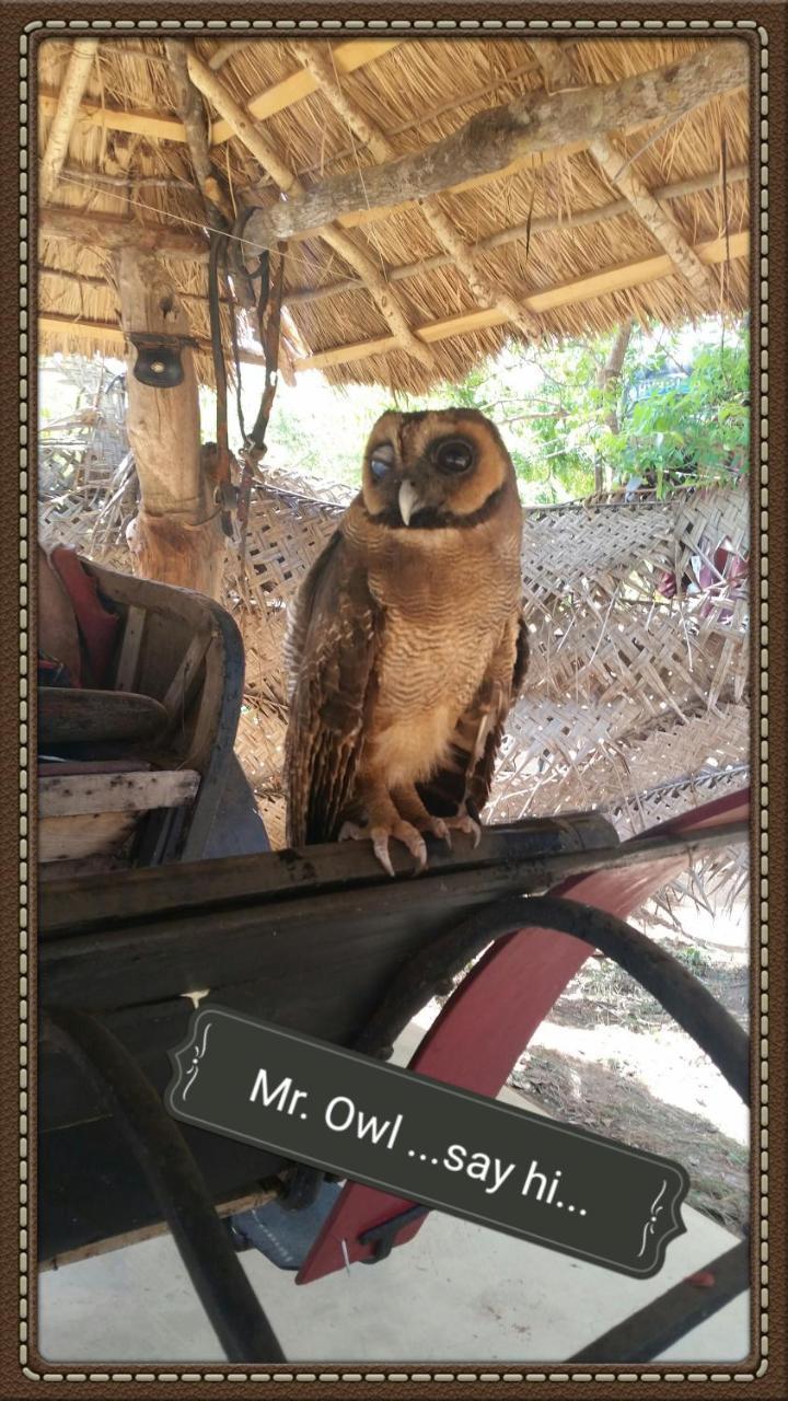 Humbhaha Jungle Yala Nature Eco Resort Kataragama Εξωτερικό φωτογραφία