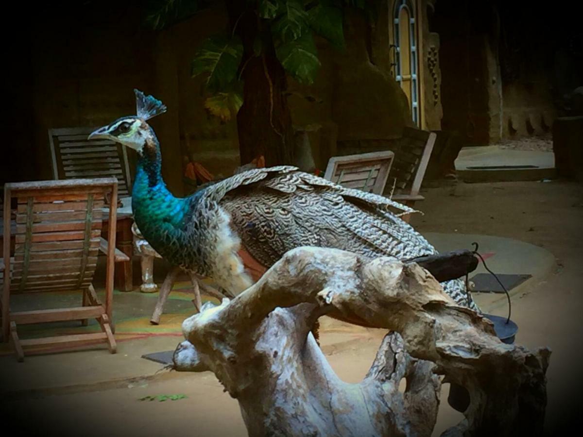 Humbhaha Jungle Yala Nature Eco Resort Kataragama Εξωτερικό φωτογραφία